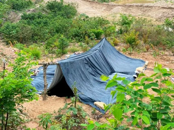 Duas pessoas são resgatadas e 16 fogem de garimpo ilegal