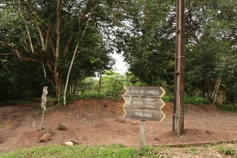 Campanha “Um Dia no Parque” celebra áreas protegidas do Pará