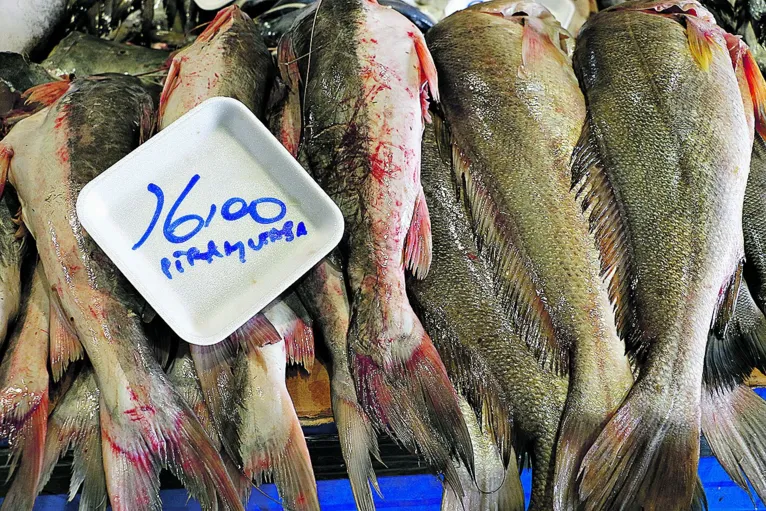 Clientes e vendedores comemoram redução no valor do pescado