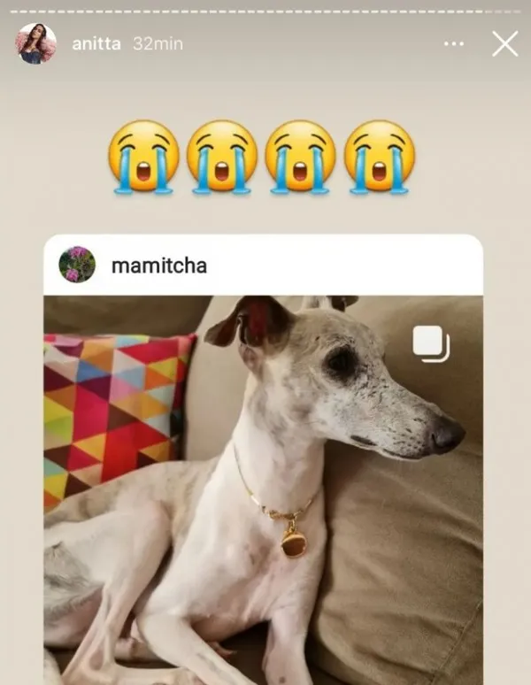 Luto: Anitta revela morte e lamenta: ‘virou estrelinha’