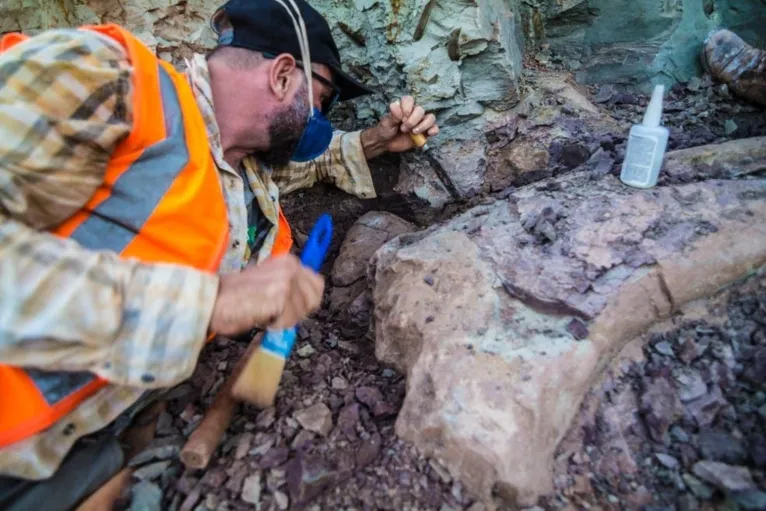Região onde foram encontrados os fósseis de dinossauro, em Davinópolis