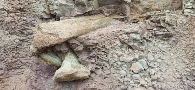 Região onde foram encontrados os fósseis de dinossauro, em Davinópolis