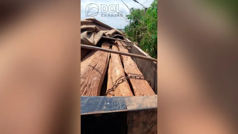 Foram apreendidos 50 m³ de madeira e encaminhados para a Secretaria de Meio Ambiente de Marabá