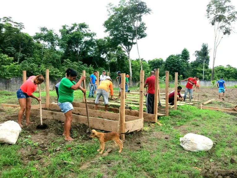 “Horta na Escola” contribui para geração de renda entre comunitários. 