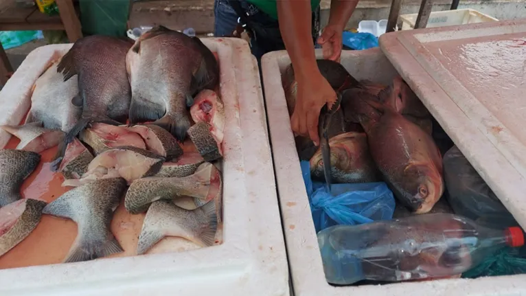Comerciantes reclamam da situação e mostram estoque de peixe ainda cheio perto do meio dia deste domingo (12)