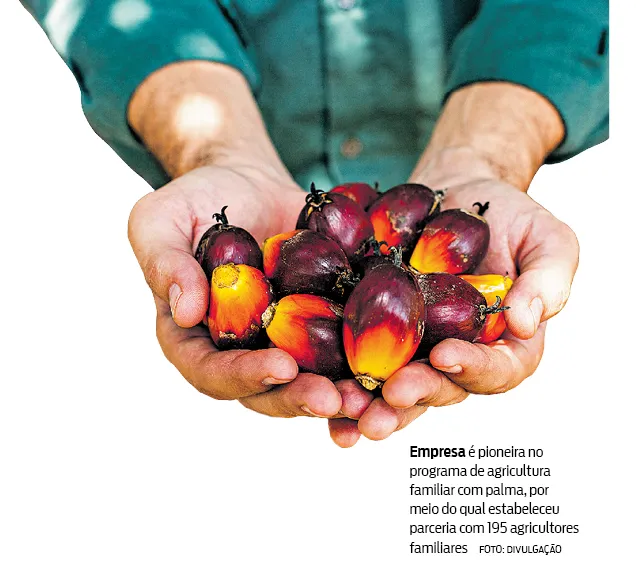Agropalma apresenta nova identidade visual 