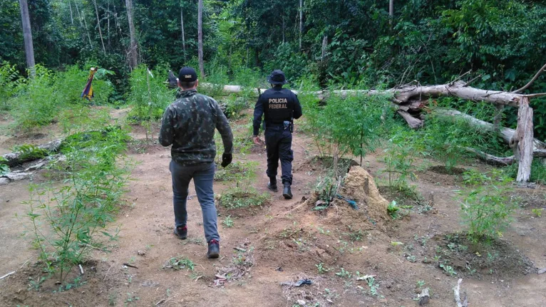 Segunda fase da operação foi deflagrada pela Polícia Federal e teve o apoio do Corpo de Bombeiros Militar