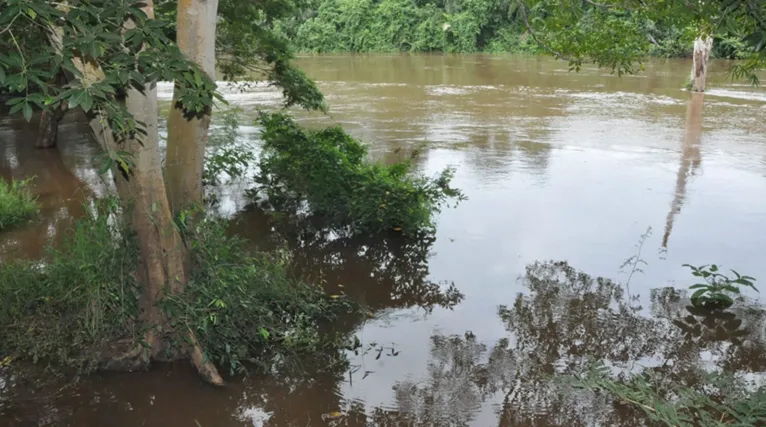 No ano passado, mais de seis mil pessoas foram afetadas pelas chuvas e pela cheia do rio