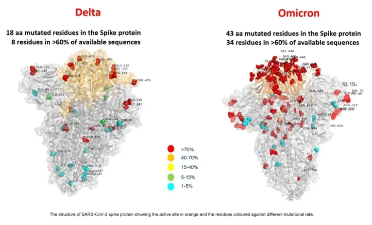 Os pontos em vermelho mostram a maior concentração de mutações na Ômicron
