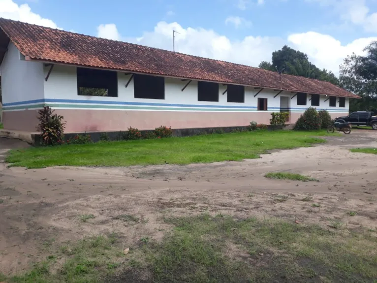 Comunidade Café Torrado, em Juruti.