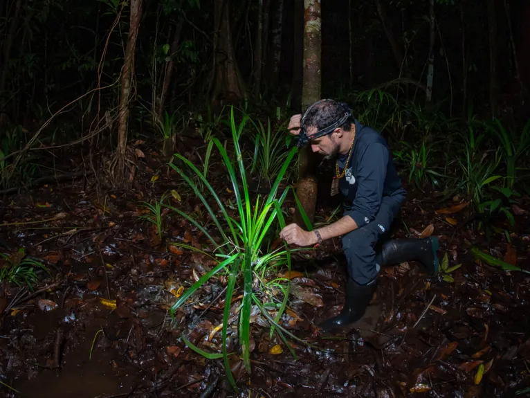 Pedro Peloso em pesquisa de campo