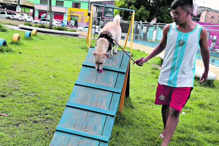 Espaços recebem pets e conquistam clientes