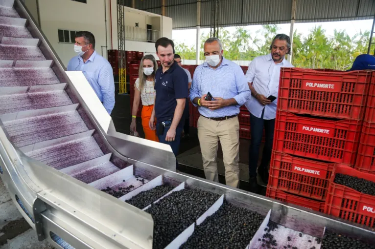 Indústria paranaense irá produzir polpa de açaí em Benevides