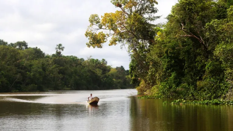 A COP-26 vai definir os rumos do planeta com ações voltadas para o meio ambiente