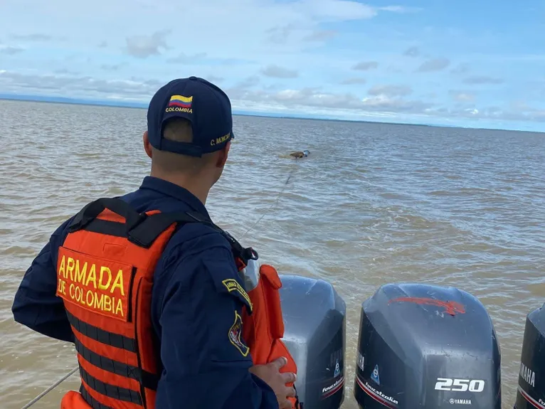 Onça à deriva no mar é resgatada pela Guarda Costeira