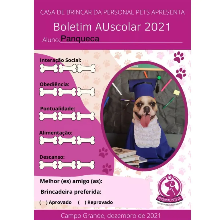 Cães ganham ensaio de formatura com beca e tudo; veja!