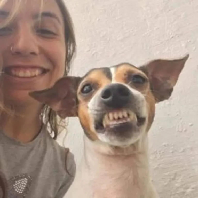 Cadela de abrigo dá sorriso em selfie e viraliza. Vem ver!