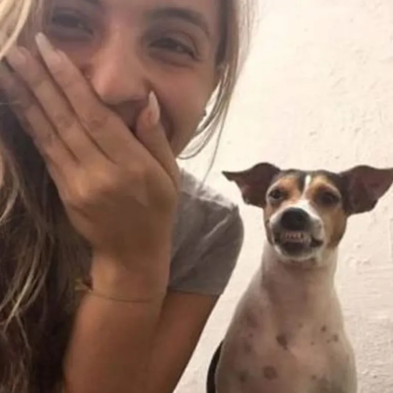 Cadela de abrigo dá sorriso em selfie e viraliza. Vem ver!