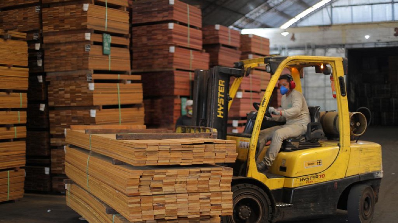 Entidades garantem que a atividade madeireira é sinônimo de desenvolvimento sustentável e preservação das florestas.