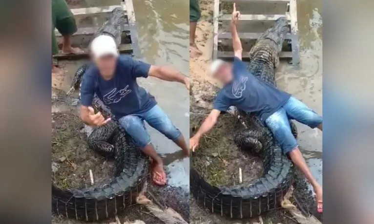 Fotos mostram o momento em que alguns homens tentam arrastar o animal