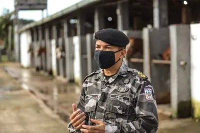 Tenente Coronel Rodrigo Tanner explica como funciona o trabalho da polícia montada