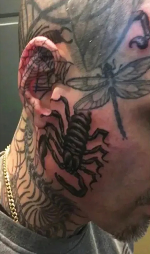 Homem com 864 tatuagens de insetos diz ter medo dos bichos