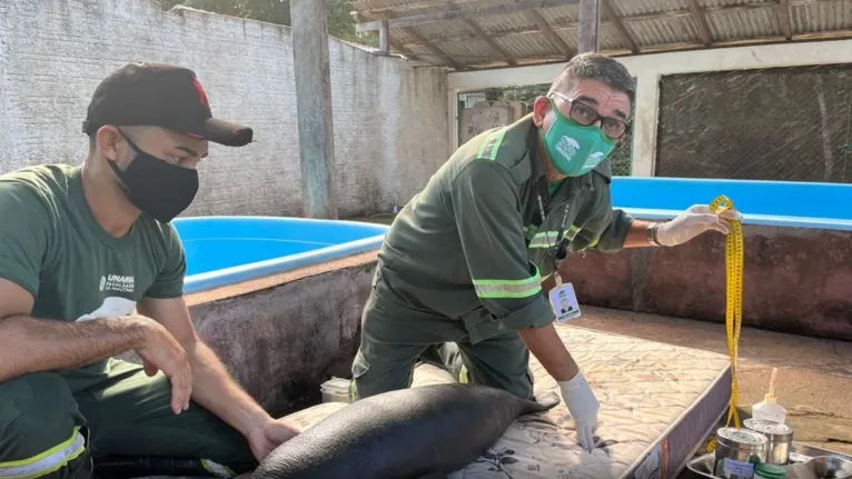 Vitória  passou por cuidados médicos, e ganhou uma mamadeira.