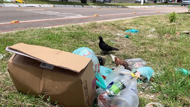 Moradores denunciam formação de lixão na Pedreira