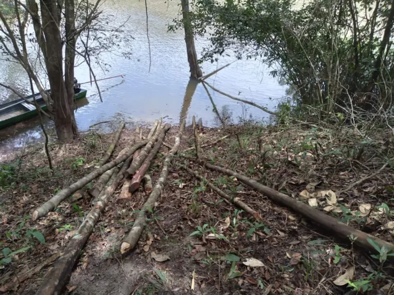 Área de proteção ambiental vem sendo desmatada por invasores