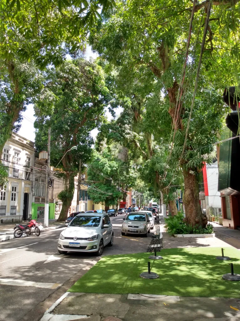 Um dos "túneis de mangueiras" de Belém do Pará, na avenida Braz de Aguiar. Foto: