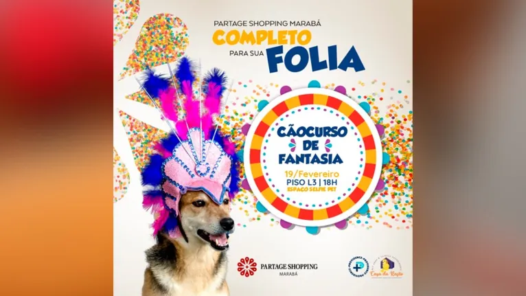 CãoCurso de fantasia ocorrerá neste sábado (19)