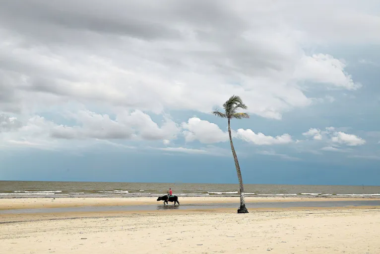 A praia do Pesqueiro, no Marajó.