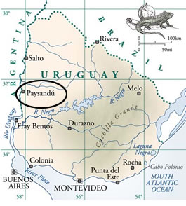 E o nome do Papão tem haver com a guerra no Uruguai