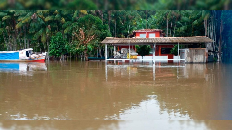 Vídeo: Ribeirinhos contabilizam prejuízos com enchente 
