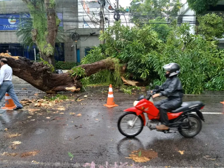 Cuidados para pilotar na chuva com segurança