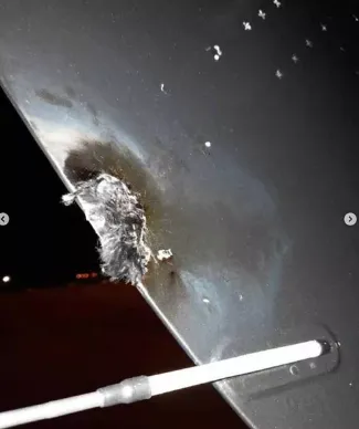 Rumo ao Brasil, avião de Miley Cyrus é atingido por raio