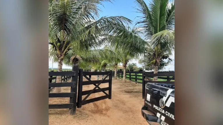 Materiais e restos de objetos que foram recolhidos no interior da fazenda Primavera