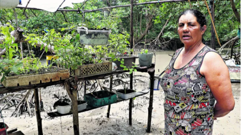 Miriam mora no mangue e oferece caranguejos