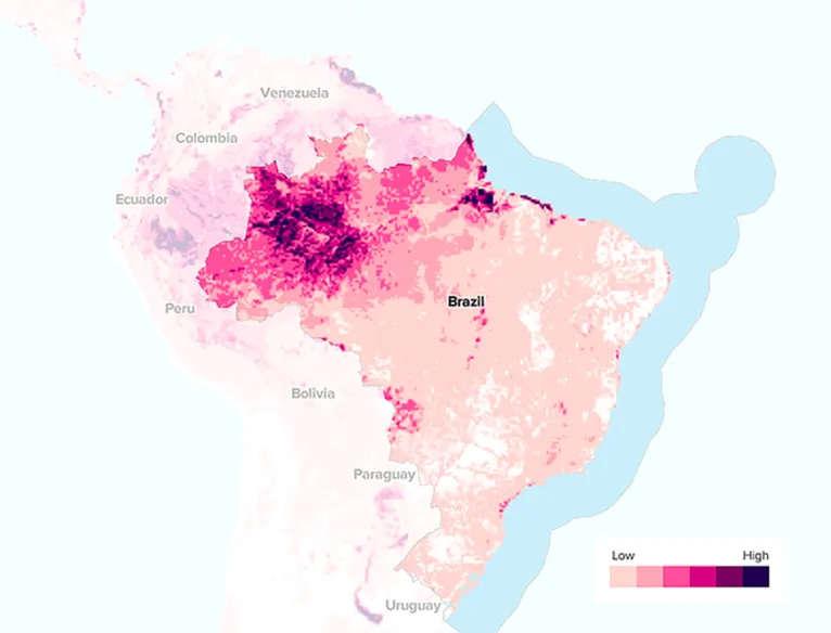 Conservação da Floresta Amazônica: dever de todas as esferas