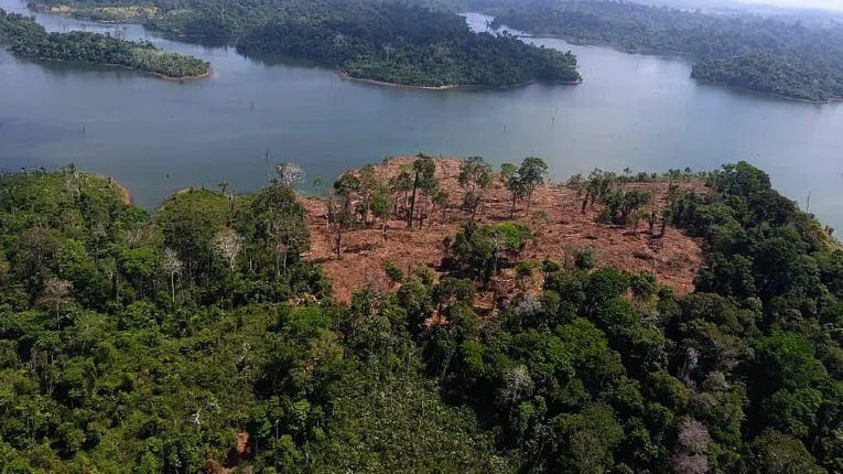 O Mosaico do Lago de Tucuruí congrega sete municípios da região