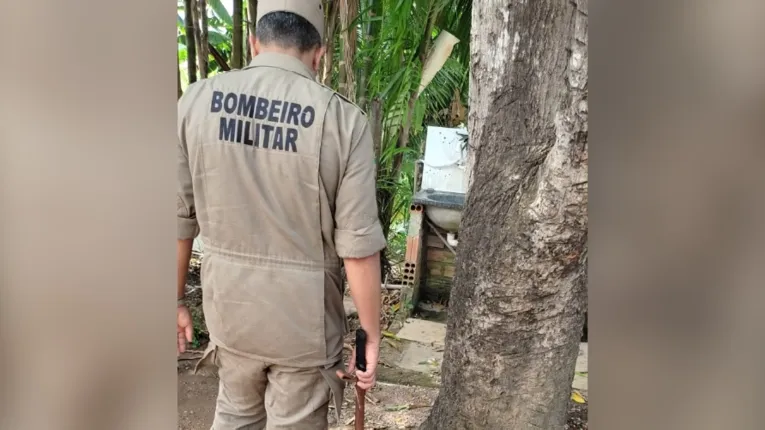 Buscas foram feitas nos arredores da casa e na grota da Folha 16