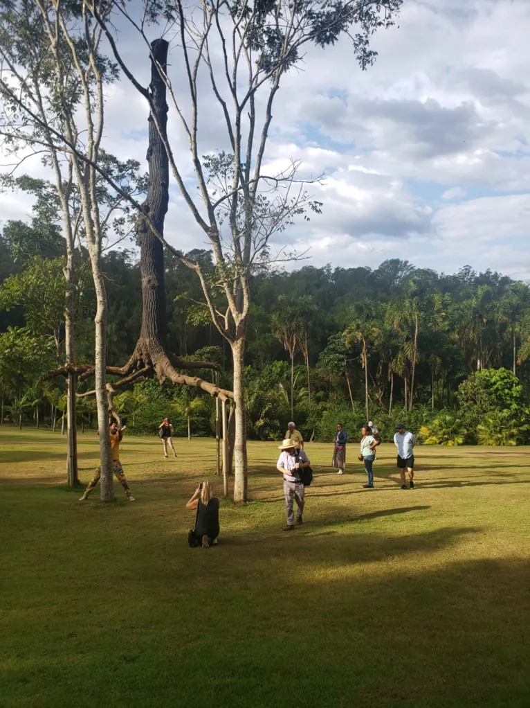 Inhotim: natureza viva, arte desafiadora 