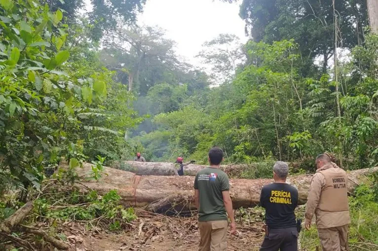 A política também assegura a garantia de documentos para que o produtor do campo possa ter acesso a benefícios governamentais e créditos bancários para investir na produção e compra de equipamentos.