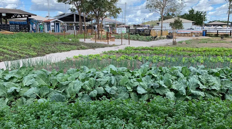 Fazendinha é atração na Exposição Agropecuária de Redenção