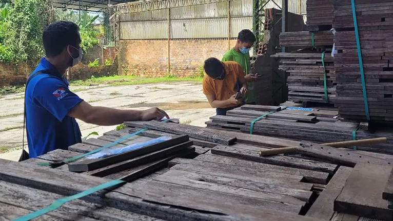 Leilão de lotes de madeiras vai até sábado em Belém