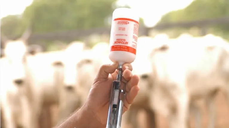 O produtor rural deve adquirir sua vacina em uma revenda cadastrada junto à Adepará.