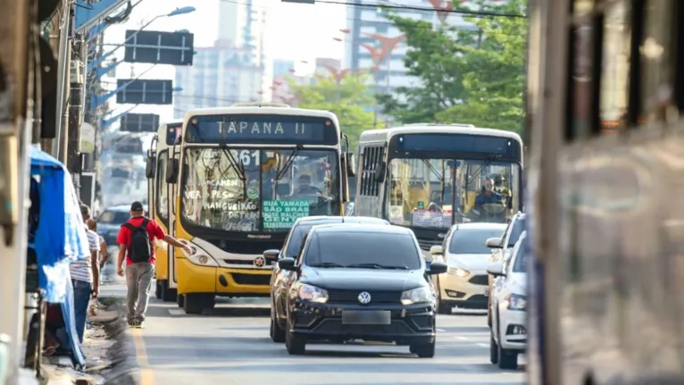 Especialista alerta para a importância de aprender com o passado para tornar o futuro possível