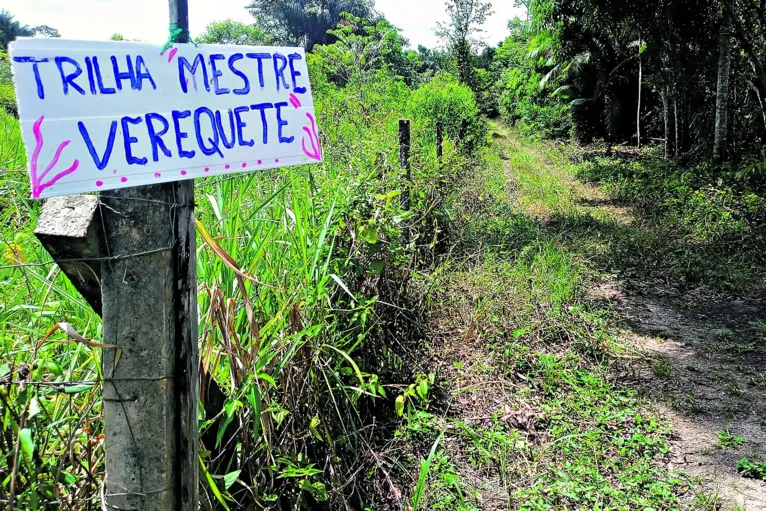 Sítio acolhe e hospeda quem quer aprender sobre
botânica