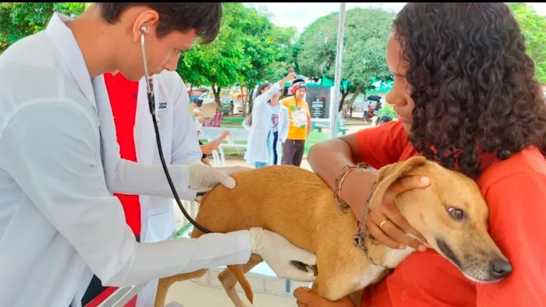 Para serem castrados, os animais precisam ter entre oito meses e seis anos de vida