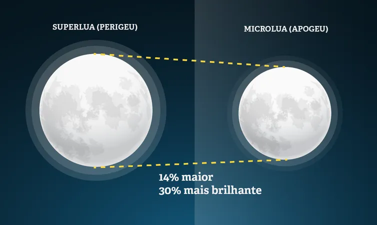 Mês de julho terá chuva de meteoros e Lua dos Cervos